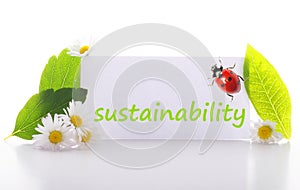 Sustainability photo