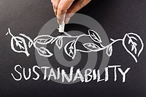 Sustainability