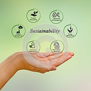 Sustainability