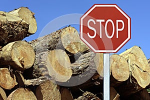 Sustainability concept: traffic stop sign in front of fallen trees