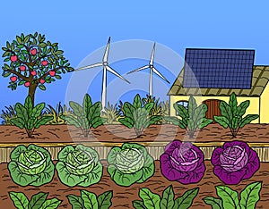 Sustainability Renewable Energy Agriculture