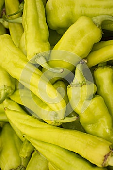 Peppers background different colours photo