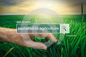 Sustainable agriculture - web search bar glossary term