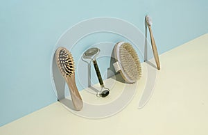 Sustainable career eco accessories brushes for self care and body care.