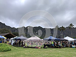 Sustainable Coastlines Hawaii holds its annual Earth Day Festival and beach cleanup