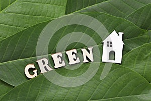 Sustainable, Decarbonisation. White wooden House, Green on Green Fresh Leaf background. Eco-friendly home photo