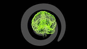 Sustainable development goals concept. 4k video of green illuminating brain over black background.
