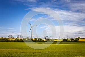 Sustainable energy. Danish landscape with windmills and green fields.