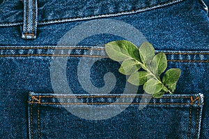 Sustainable fashion, Circular economy, denim eco friendly clothing. Green leaf plant on blue denim jeans background