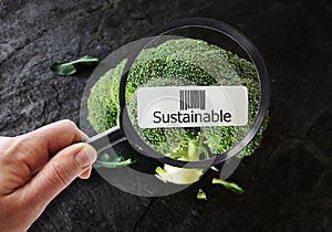 Sustainable food concept photo