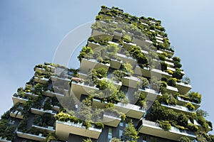 Sustainable green building photo