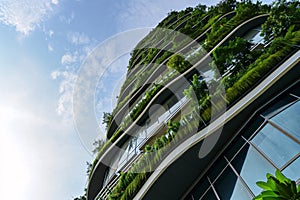 Sustainable green building. Eco-friendly building. Sustainable glass office building with tree for reducing carbon dioxide. Office