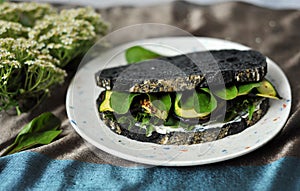 Sustainable green diet conceptual image with black charcoal bread and veggie sandwich