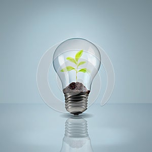 The sustainable solution. Studio shot of a plant growing inside of a lightbulb.