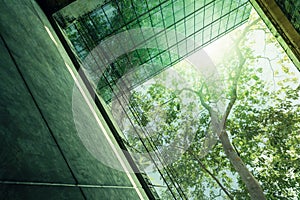 Sustainble green building. Eco-friendly building in modern city. Sustainable glass office building with tree for reducing carbon