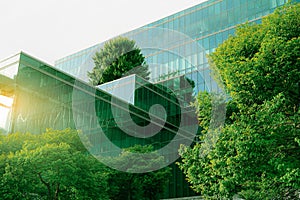 Sustainble green building. Eco-friendly building. Sustainable glass office building with tree for reducing carbon dioxide. Office