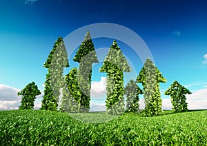 Sustaining eco growth and sustainable development concept. 3d il photo