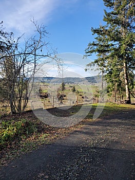 Sutherlin Oregon backyard