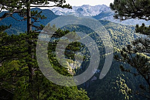 Sutjeska National Park, One of the oldest parks in Bosnia and Herzegovina, Balkans. The park is one of the last primary