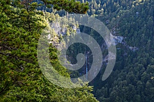 Sutjeska National Park, One of the oldest parks in Bosnia and Herzegovina, Balkans. The park is one of the last primary