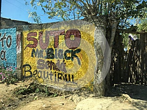 Suto ma black senda Beautiful on a wall in Colombia  South America photo