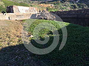 Sutro Baths, San Francisco, 7.