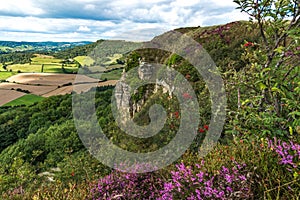 Sutton Bank Landscape