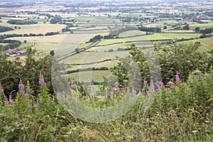 Sutton Bank Landscape, North York Moors