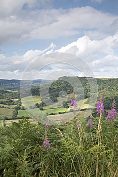 Sutton Bank Landscape, North York Moors