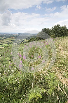 Sutton Bank Landscape, North York Moors