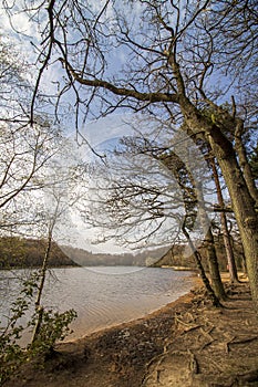 Sutton Park, West Midlands, England - Beautiful view in the park, April 18, 2021
