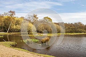 Sutton Park, West Midlands, England - Beautiful view over the park