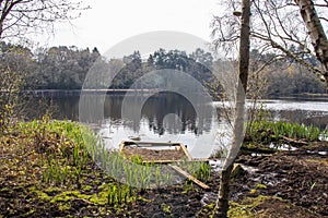 Sutton Park, West Midlands, England - Beautiful view over the park