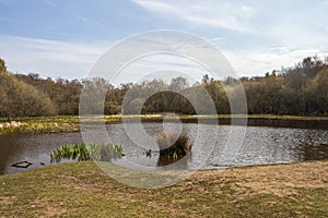 Sutton Park, West Midlands, England - Beautiful view over the park