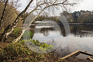 Sutton Park, West Midlands, England - Beautiful view in the park, April 18, 2021