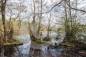 Sutton Park, West Midlands, England - Beautiful view in the park, April 18, 2021