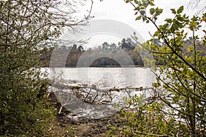 Sutton Park, West Midlands, England - Beautiful view in the park, April 18, 2021