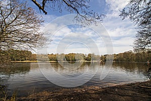 Sutton Park, West Midlands, England - Beautiful view in the park, April 18, 2021