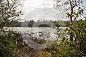 Sutton Park, West Midlands, England - Beautiful view in the park, April 18, 2021