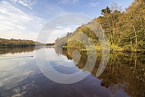 Sutton Park, West Midlands, England - Beautiful view in the park, April 18, 2021