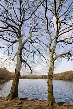 Sutton Park, West Midlands, England - Beautiful view in the park, April 18, 2021