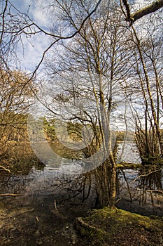 Sutton Park, West Midlands, England - Beautiful view in the park, April 18, 2021