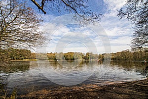 Sutton Park, West Midlands, England - oil painting on canvas.