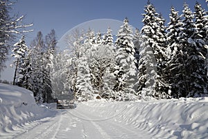 Suv, car, driving through snowy landscape