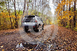 SUV on dirt road in autumn forest