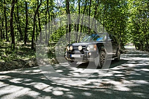 SUV in the forrest
