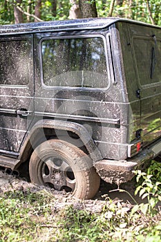 SUV got stuck in the mud in the forest, off-road