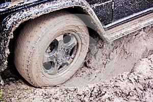 SUV got stuck in the mud in the forest, off-road