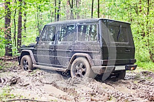 SUV got stuck in the mud in the forest, off-road