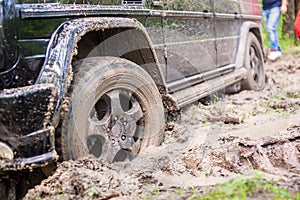 SUV got stuck in the mud in the forest, off-road